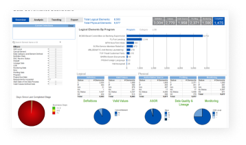 Data Element 360 Screen